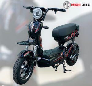 XE ĐIỆN FAST GO