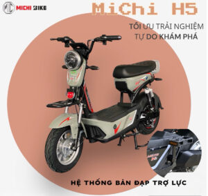XE ĐIỆN MICHI H5