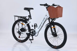 XE ĐẠP TRỢ LỰC ĐIỆN LEGEND UNTIL - MẪU NỮ